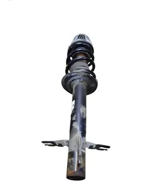 Fiat Ducato Front shock absorber with coil spring 50707867 01374654080 GP38012