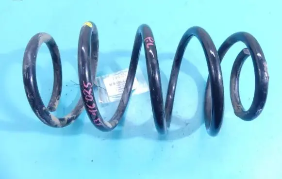 Front coil spring