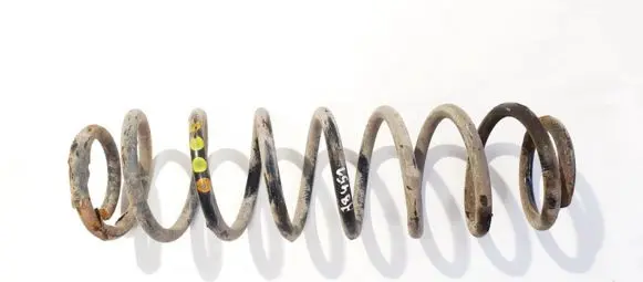 Rear coil spring