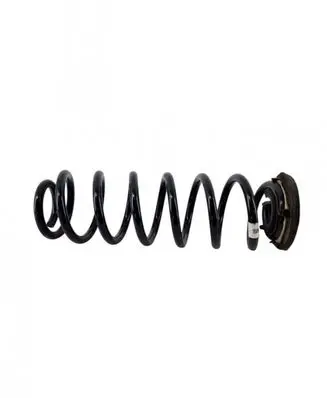 Rear coil spring