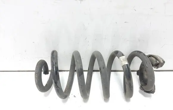 Volkswagen ID.3 Rear coil spring 