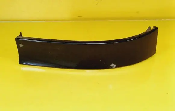 Rear/tail light trim molding