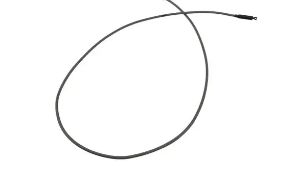 BMW X5 E53 Ignition lock cable 1095560 109556004