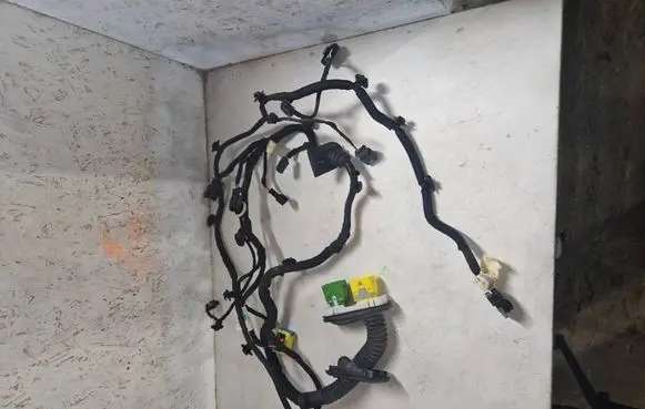 Citroen C4 III e-C4 Front door wiring loom 9840884080