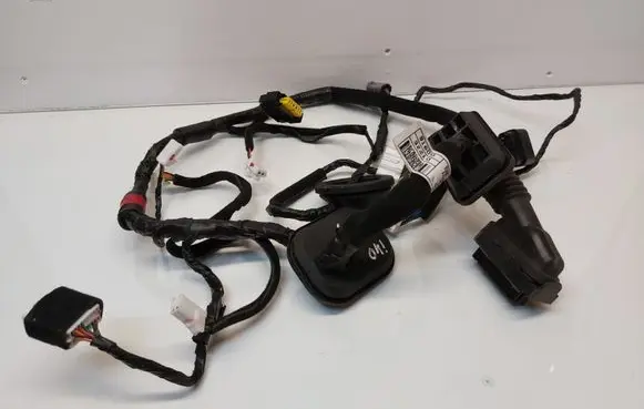 Front door wiring loom