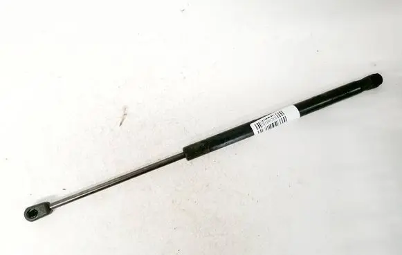 Tailgate/trunk strut/damper