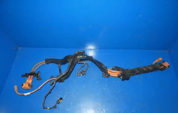 Volvo XC90 Other wiring loom 30644623