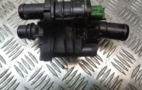 Thermostat/thermostat housing