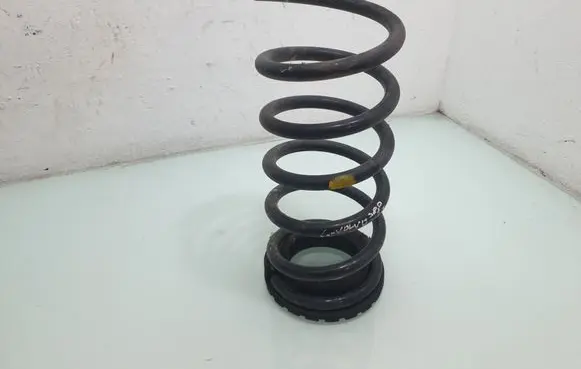 Rear coil spring