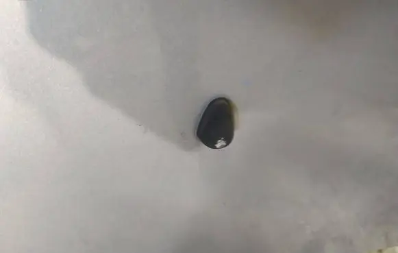 Chevrolet Aveo Windshield washer spray nozzle 