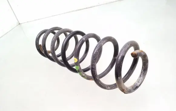 Rear coil spring