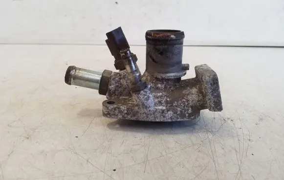 Thermostat/thermostat housing