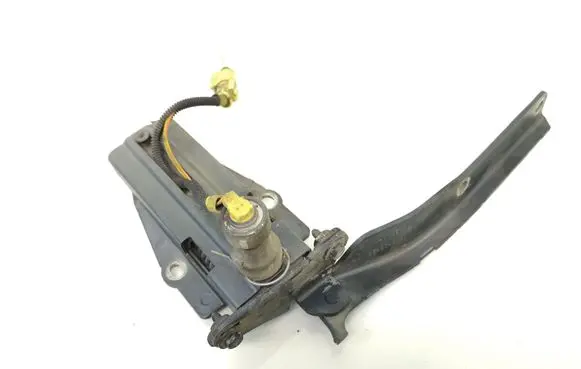 Citroen C6 Engine bonnet/hood hinges 9646055780 9646043080