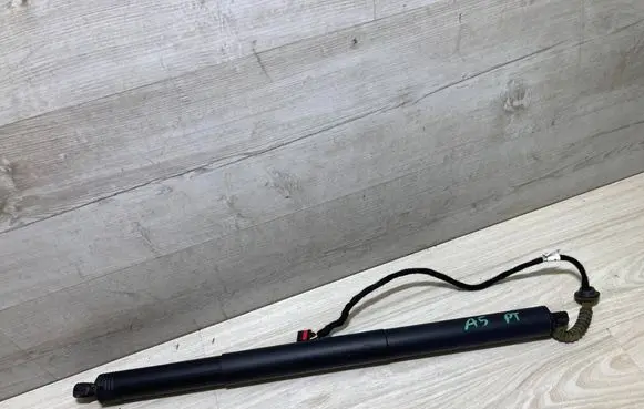 Tailgate/trunk strut/damper