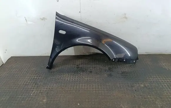 Volkswagen Golf IV Fender