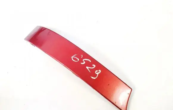 Rear/tail light trim molding