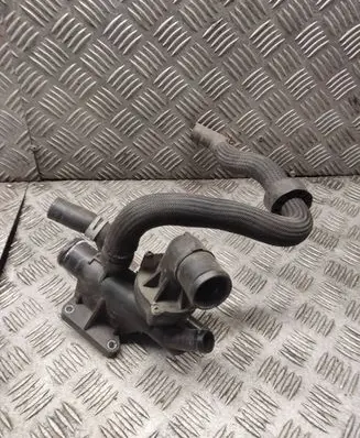 Thermostat/thermostat housing