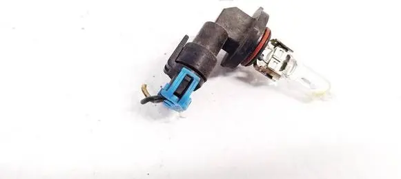 Chrysler 300 - 300C Rear tail light bulb 