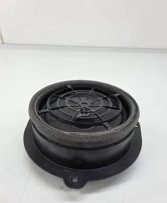 Rear door speaker