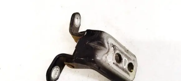 Nissan Qashqai Rear door lower hinge