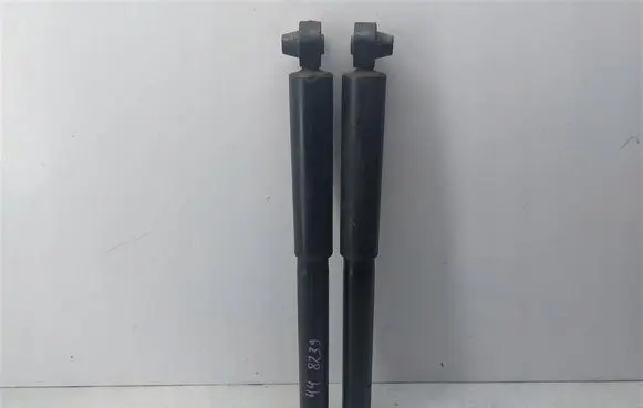 Fiat Doblo Rear shock absorber/damper 