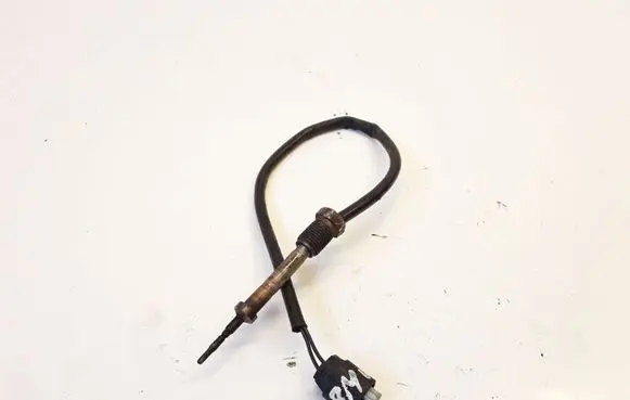 BMW 7 E65 E66 Exhaust gas temperature sensor 7795175