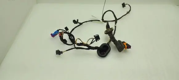 Front door wiring loom