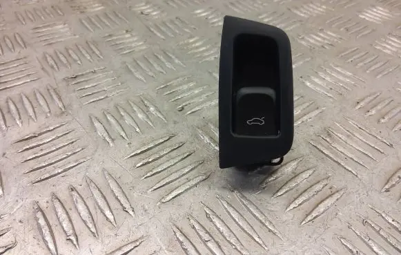 Audi Q3 8U Loading door exterior handle 4h0959831r 9305956