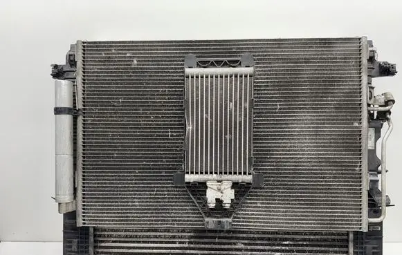 Mercedes-Benz Sprinter W906 Radiator set A9065000202