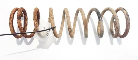 Ford Focus Rear coil spring