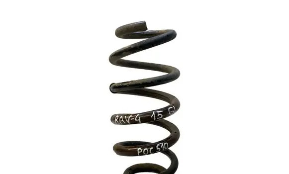 Rear coil spring
