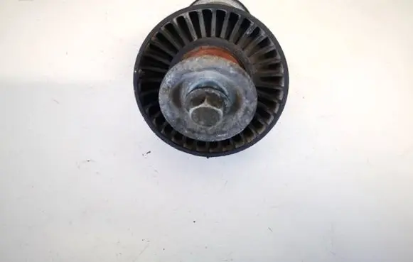 Skoda Yeti (5L) Belt tensioner pulley 