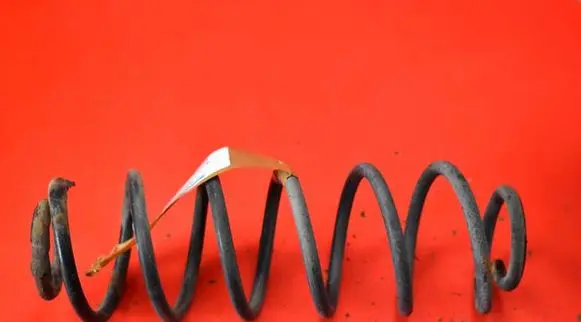 Ford Fusion Rear coil spring
