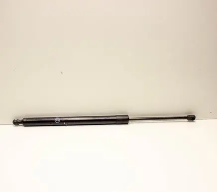 Tailgate/trunk strut/damper