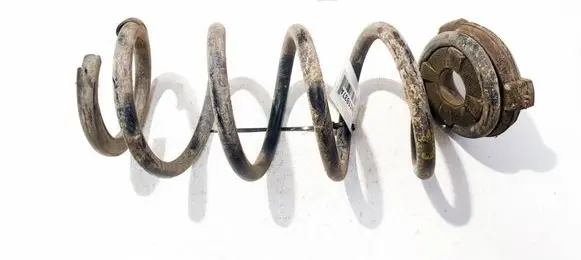 Renault Laguna III Rear coil spring 
