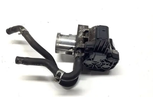 EGR valve