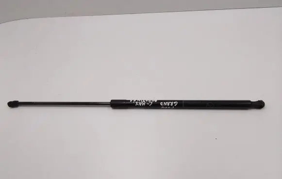 Ford C-MAX II Tailgate/trunk strut/damper AM51U406A10AF