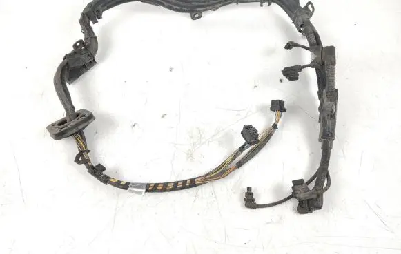 BMW X6 E71 Other wiring loom 7575579 E2410W 1S235124