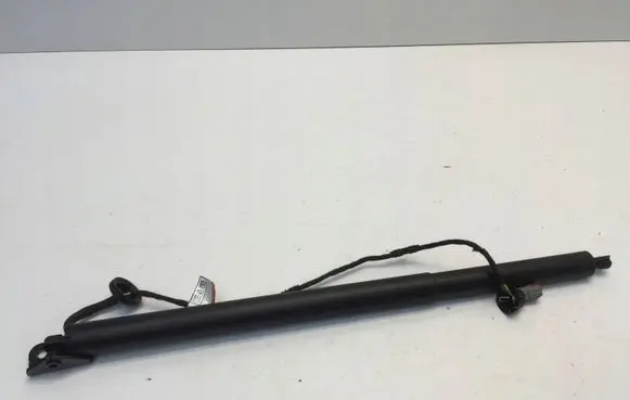Tailgate strut