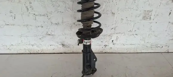 Opel Insignia A Front shock absorber with coil spring FC024