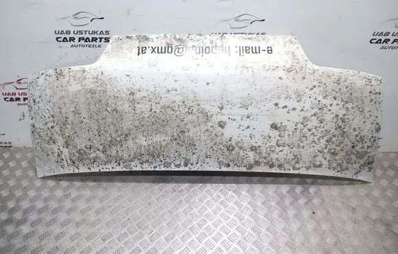 Engine bonnet/hood