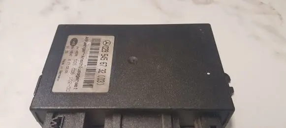 Mercedes-Benz C W203 Other control units/modules 0295456732 5DS00810200