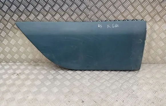 Rear door trim (molding)