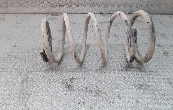 Rear coil spring