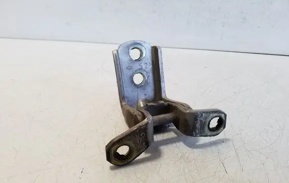 Rear door lower hinge