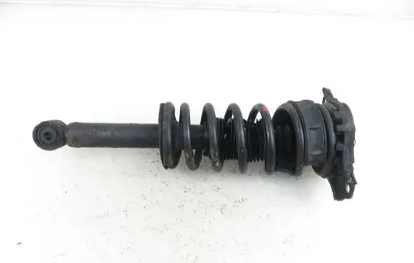 Nissan Primera Rear shock absorber with coil spring 