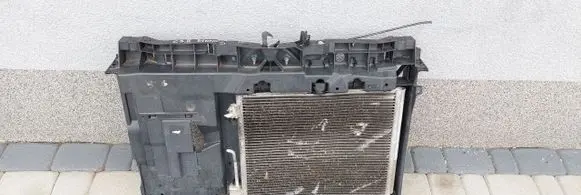 Citroen C3 Radiator set 