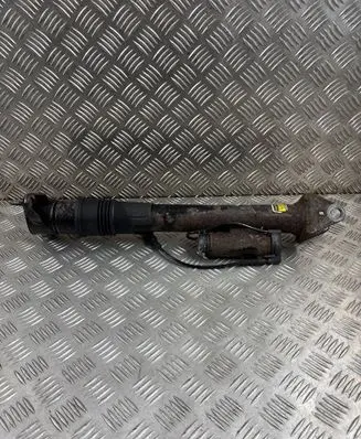 Mercedes-Benz R AMG W251 Rear shock absorber/damper D01272