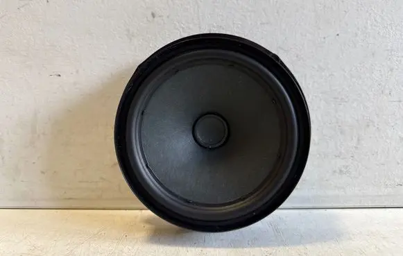 Volkswagen T-Roc Rear door speaker 2GA035710