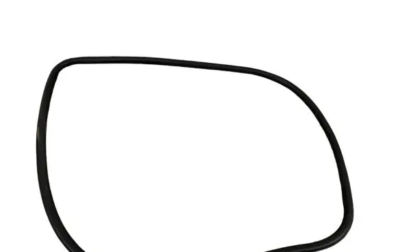 Opel Insignia A Front door rubber seal